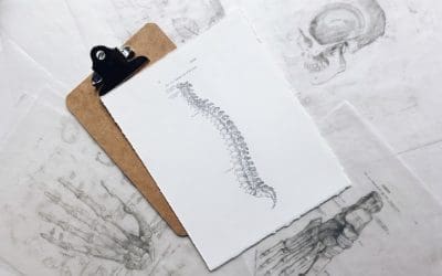 Keeping your spine healthy and happy!