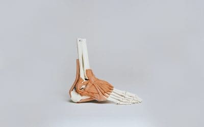 Your ankles are your ANCHOR!