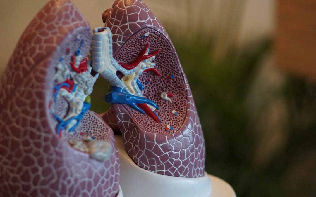 Tips to maintain healthy lungs
