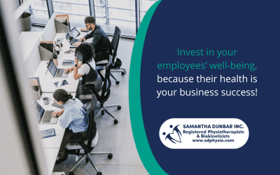 Optimising Office Ergonomics: Creating a Productive and Comfortable Work Environment